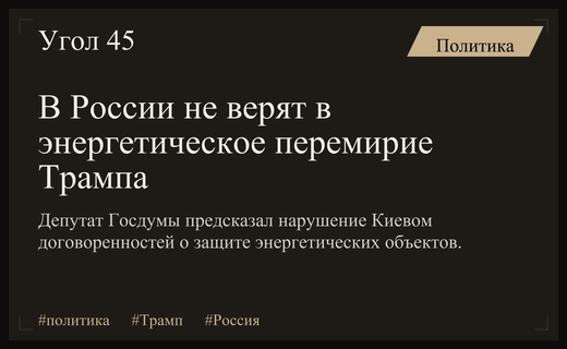 В Госдуме выразили сомнение в выполнении договоренностей Трампа по энергетике