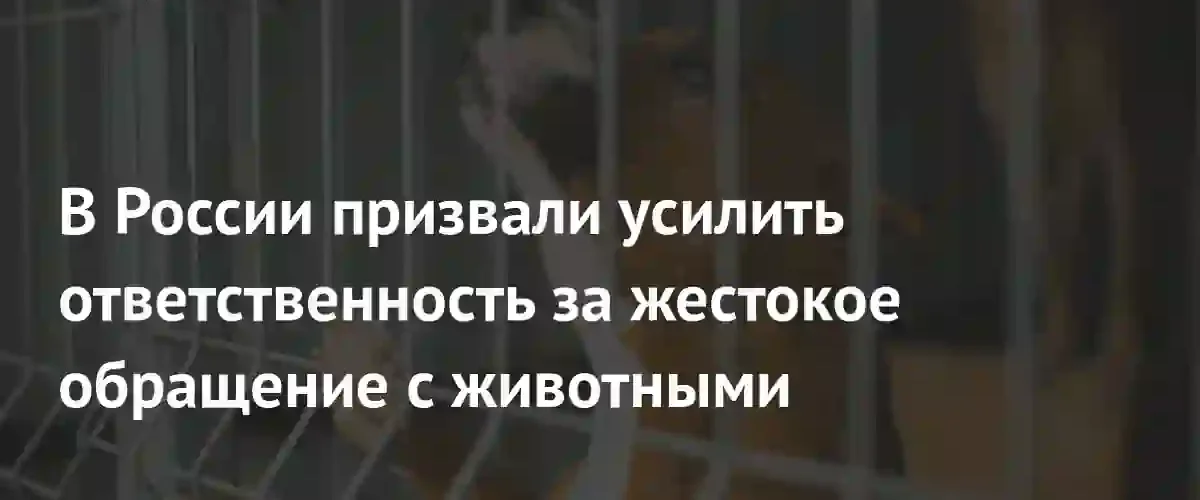 В Госдуму внесен законопроект об ужесточении наказания за жестокое обращение с животными