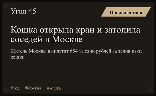 Мосгорсуд обязал жителя Москвы выплатить крупную сумму за залив из-за кошки