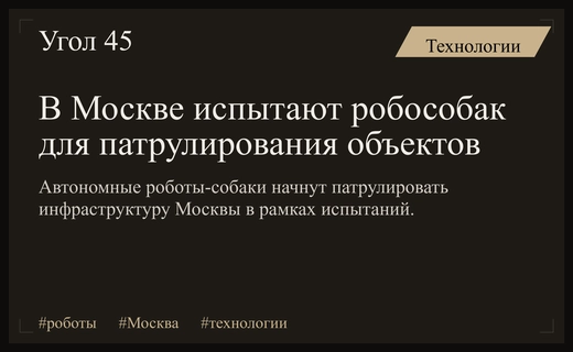 В Москве начинаются масштабные испытания автономных робособак для охраны инфраструктуры