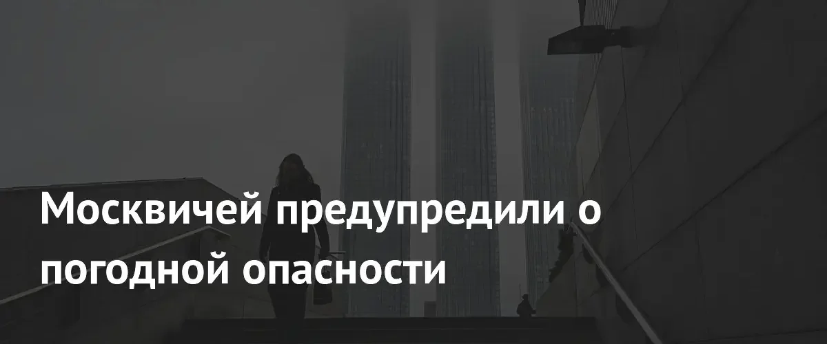В Москве объявлен желтый уровень опасности из-за густых туманов
