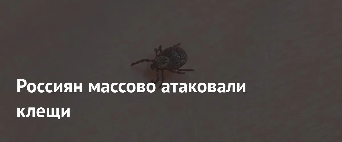 Роспотребнадзор сообщил о массовых обращениях россиян из-за укусов клещей