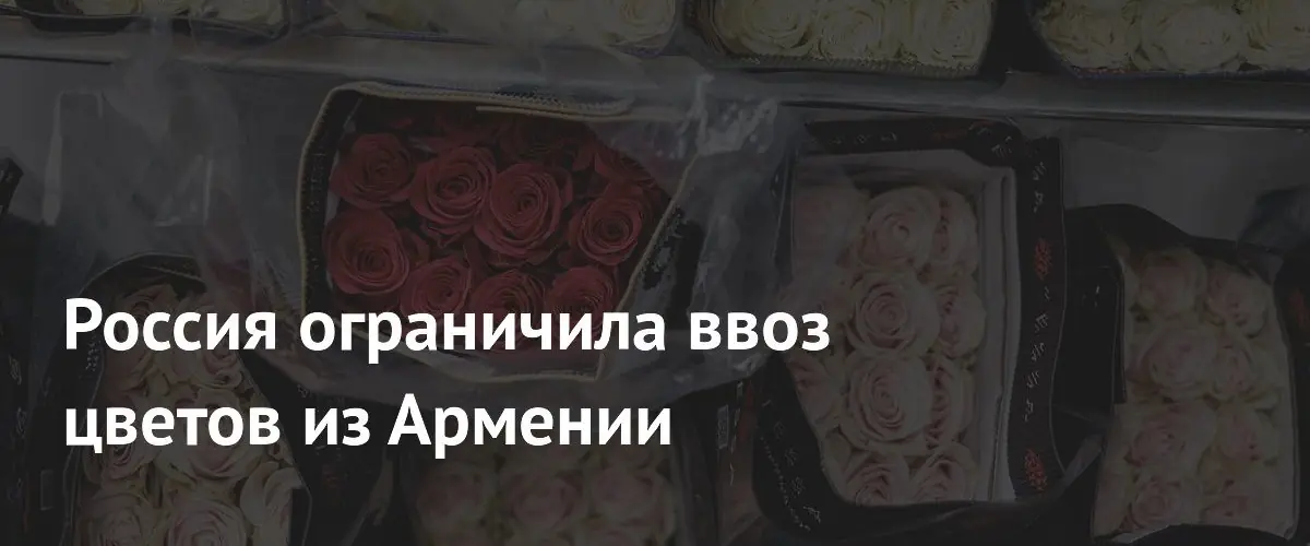 Россельхознадзор ограничил ввоз цветов из Армении с 22 мая из-за заражения