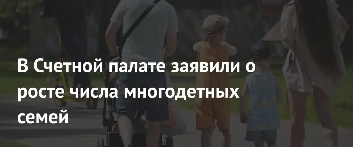 В России число многодетных семей за десять лет выросло вдвое