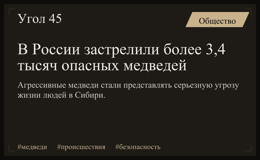 В России зафиксирован резкий рост нападений медведей на людей