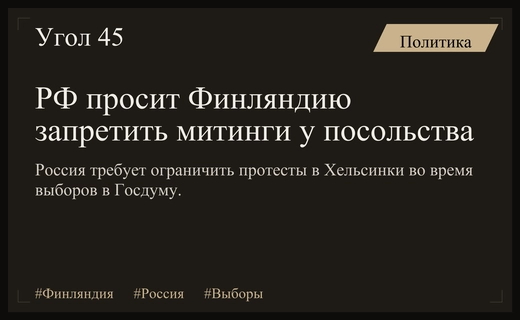 Россия направила Финляндии запрос на запрет протестов в день выборов