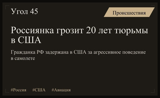 Россиянка рискует получить 20 лет тюрьмы в США за авиадебош