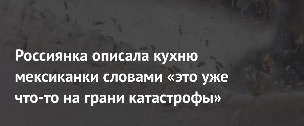 Российская блогерша испытала культурный шок от антисанитарии на кухне в Мексике