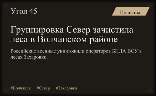 Российские бойцы группировки Север провели зачистку лесов в Волчанском районе