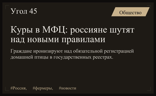 Российские фермеры иронично реагируют на новые правила учета домашней птицы