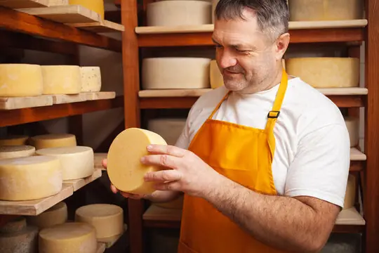 Российские сыровары бьют тревогу: склады затоварены, продукцию некуда девать