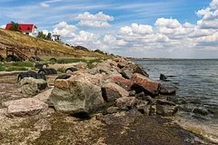 Российские ученые научились превращать избыток медуз в дорогостоящий косметический коллаген