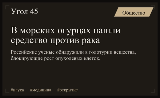 Российские ученые обнаружили в морских огурцах уникальные вещества против рака