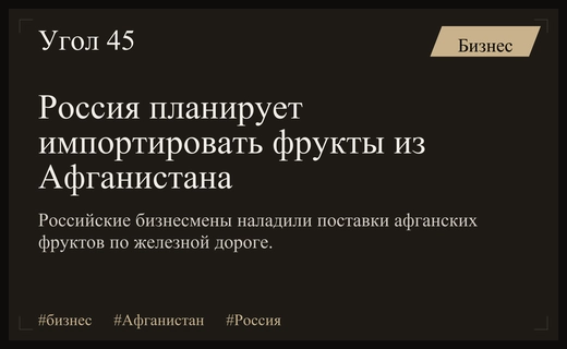 Российский бизнес планирует наладить масштабный экспорт афганских фруктов по железной дороге