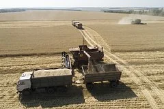 Российский экспорт пшеницы может рухнуть до минимума за четырнадцать лет