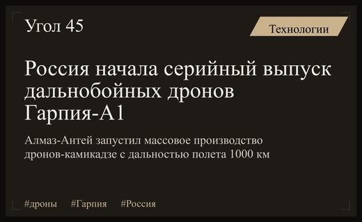 Российский концерн Алмаз-Антей запустил серийное производство дальнобойных дронов Гарпия-А1