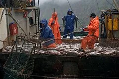 Российский рынок рыболовства столкнулся с затяжной стагнацией из-за природных факторов