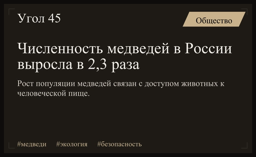 Рост популяции бурых медведей в России связан с деятельностью человека