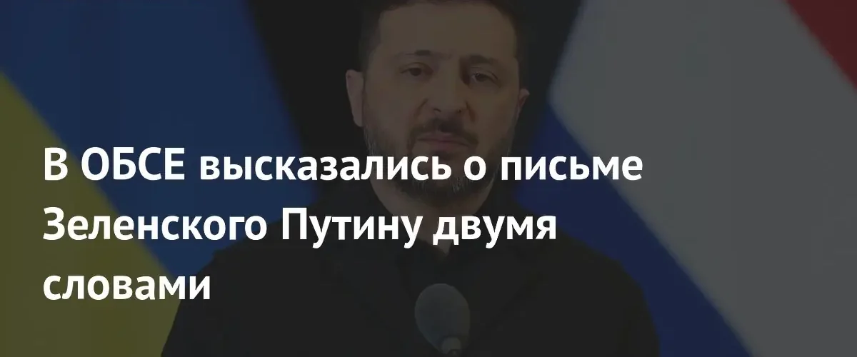 Постпред России при ОБСЕ назвал письмо Зеленского Путину провокационным шагом