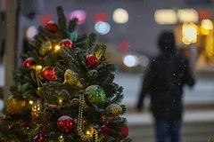 В Государственной Думе опровергли слухи о переносе новогодних каникул на май