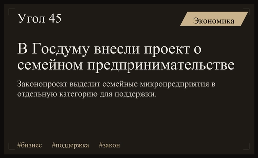 В Государственную Думу внесен законопроект о поддержке семейного предпринимательства в России