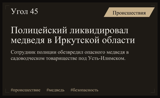 Сотрудник полиции в Иркутской области ликвидировал опасного медведя в СНТ