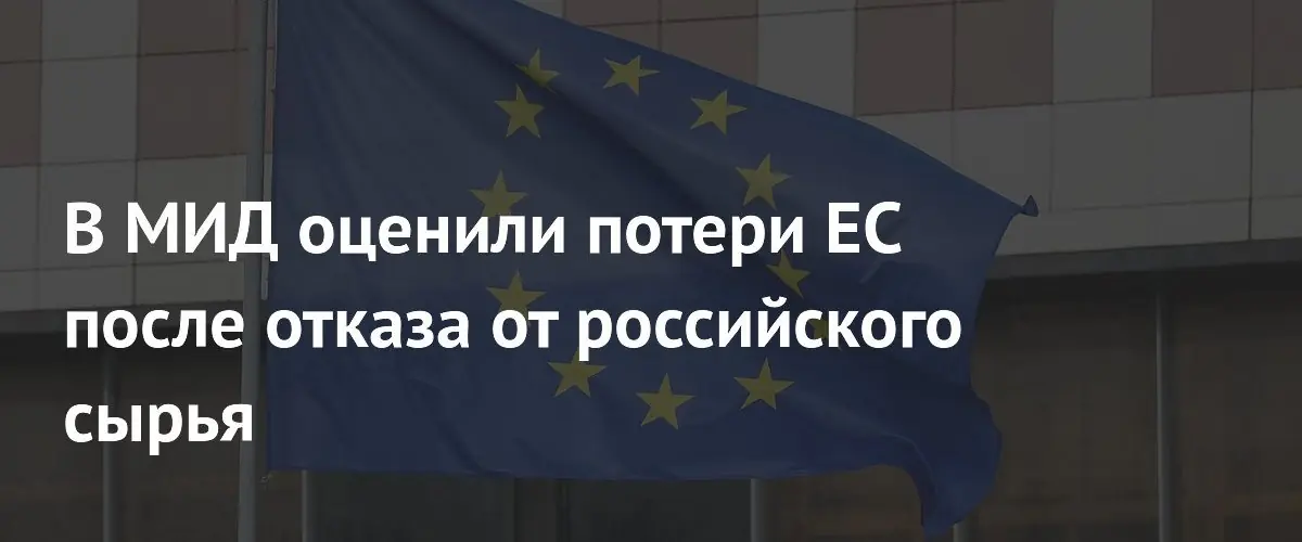 ЕС оценивает убытки от отказа от российского сырья в триллион долларов
