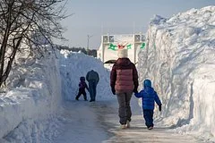 В Новосибирске внедрят новую систему управления снежными завалами и очисткой дорог