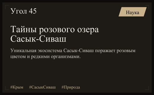 Розовое чудо Крыма: уникальные природные секреты соленого озера Сасык-Сиваш