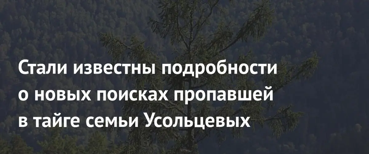 Спасатели обследовали десять квадратных километров тайги в поисках семьи Усольцевых