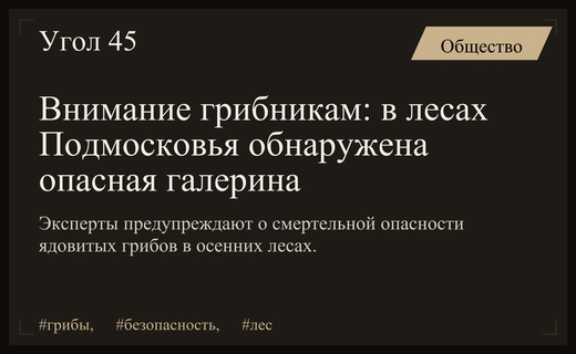 Опасность в лесу: эксперты предупредили москвичей о ядовитой галерине