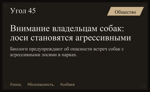 Опасные прогулки в парках: почему домашние собаки провоцируют агрессию лосей