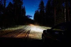 Опасный тренд в лесу едва не стоил жизни молодой подмосковной девушке