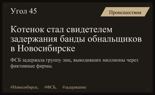 Спецоперация ФСБ в Новосибирске: задержание банды обнальщиков и случайный котенок
