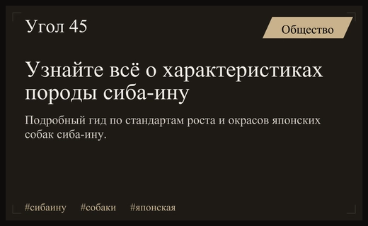 Японская легенда: все о породе сиба-ину и ее уникальных особенностях