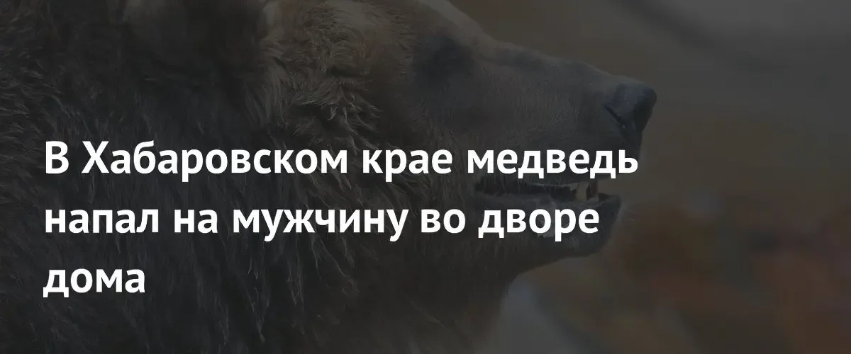 В пригороде Хабаровска медведь напал на мужчину во дворе дома