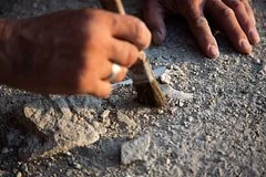 Трагедия в Деултуме: археологи раскрыли детали гибели римлянина в сосуде