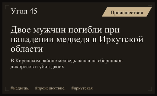 Трагедия в Киренском районе: нападение медведя унесло жизни двух мужчин