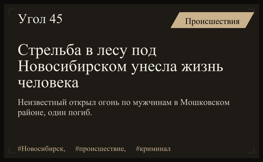Трагедия в Мошковском районе: неизвестный открыл стрельбу по группе мужчин