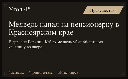 Трагедия в Красноярском крае: медведь напал на пенсионерку у дома