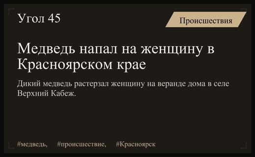 Трагедия в Красноярском крае: медведь напал на женщину в частном доме