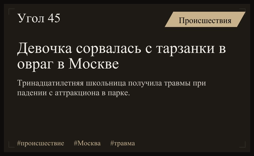 Трагедия в Суворовском парке: тринадцатилетняя девочка получила травмы при падении с тарзанки