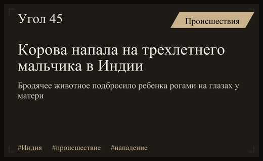 Трагический инцидент в Индии: бродячая корова напала на трехлетнего ребенка