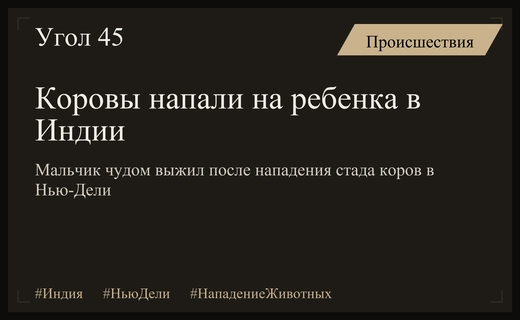 Драматическое нападение бездомных коров на ребенка в Нью-Дели запечатлено на видео