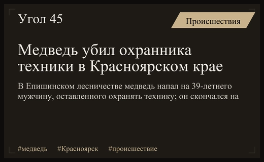 СК раскрыл детали гибели мужчины от нападения медведя в Красноярском крае