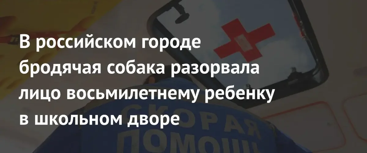 В Краснодаре бродячая собака напала на восьмилетнюю девочку в школе