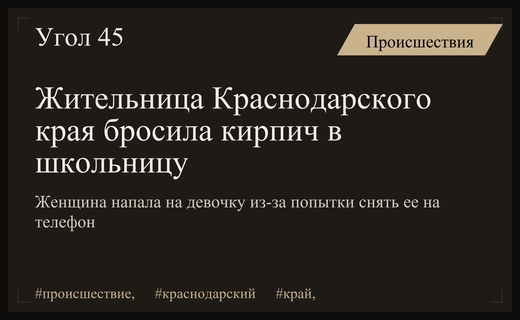В Краснодарском крае женщина напала на школьницу с кирпичом из-за видеосъемки