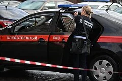 В Красноярском крае 15-летняя школьница предстанет перед судом за диверсию