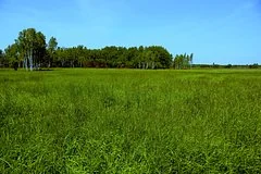 В Красноярском крае мошенница обманула государство с помощью фальшивого дома