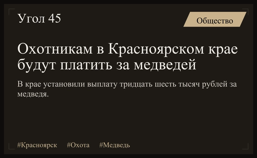 В Красноярском крае ввели выплаты охотникам за добычу бурого медведя